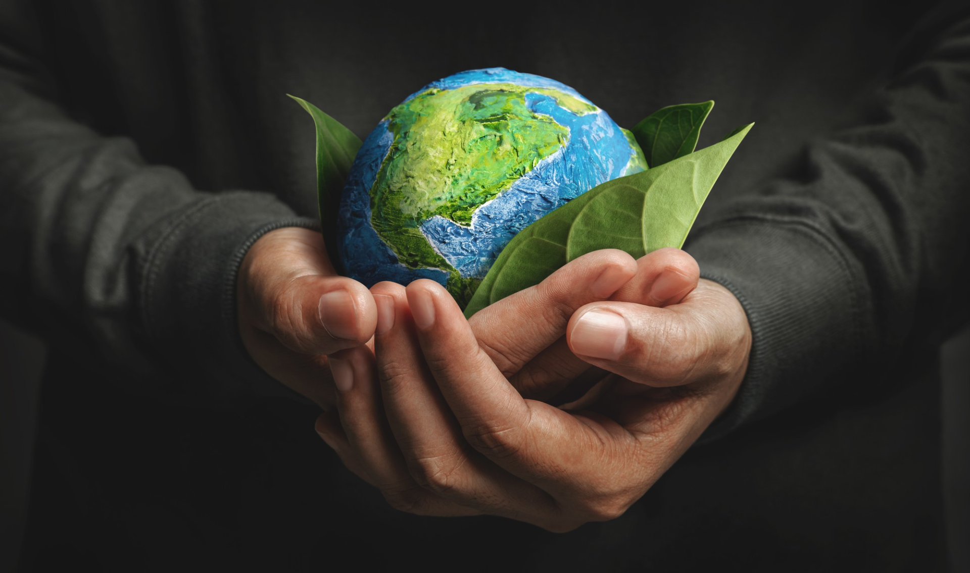 PROSERVI-AF, cobertura de proyectos ambientales y eléctricos