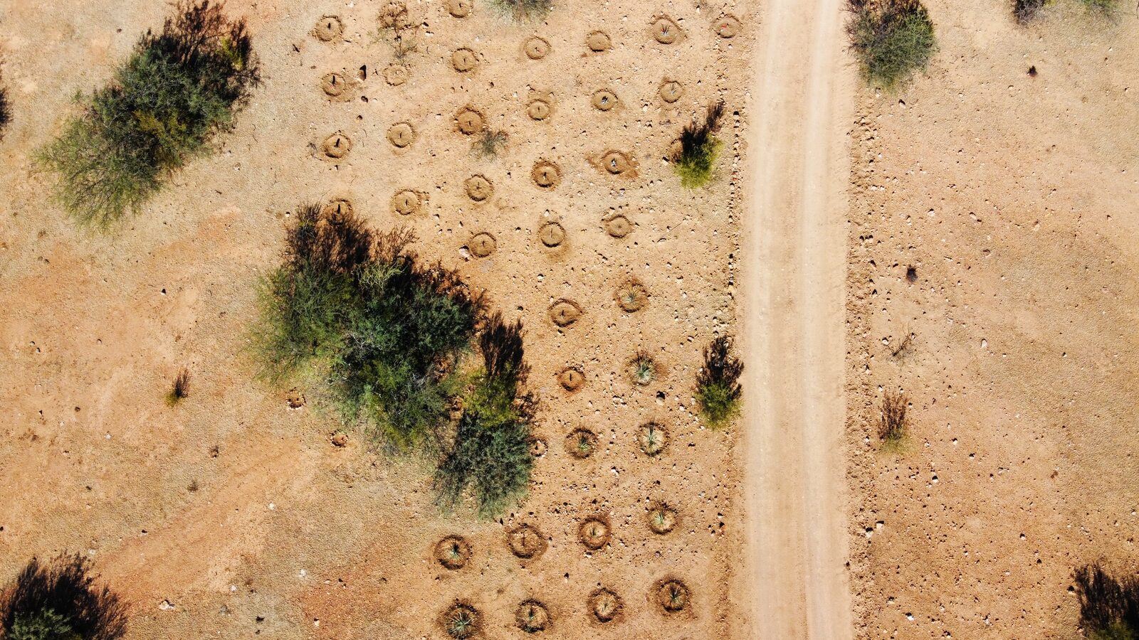 Obras de conservación y restauración ambiental