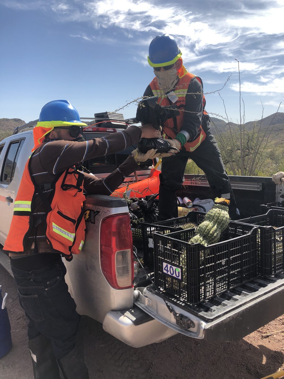 Trabajo ambiental en campo de PROSERVI-AF