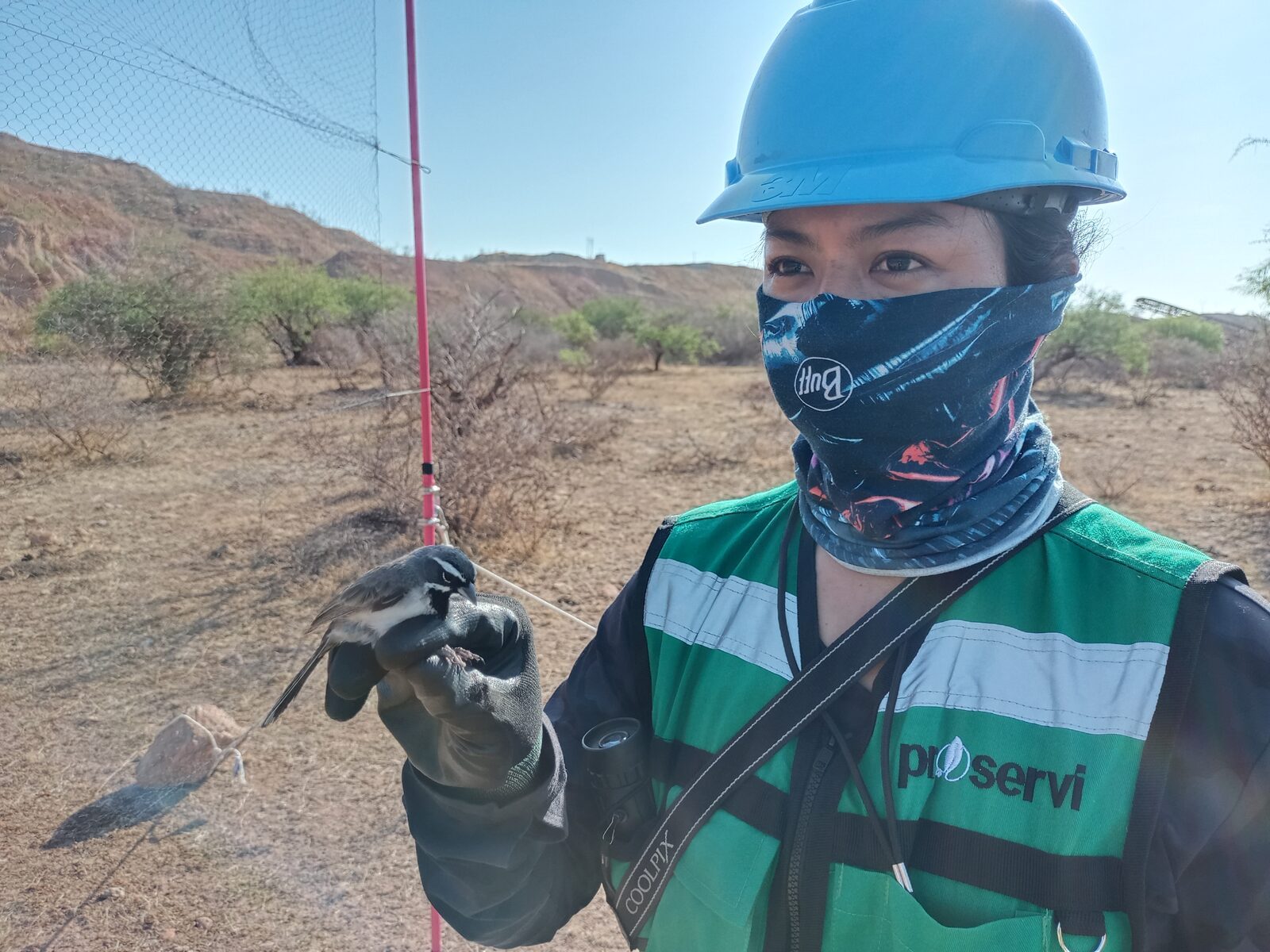 Proyectos ambientales y eléctricos de PROSERVI-AF