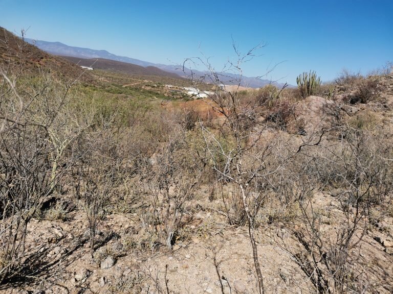 Regulaciones jurídicas ambientales en el sector minero